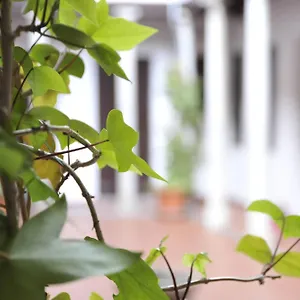 Appartement Adanar-las Columnas